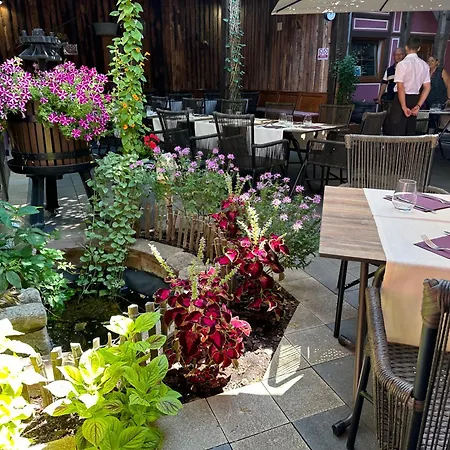 Hotel Le Meisenberg Chatenois (Bas-Rhin)