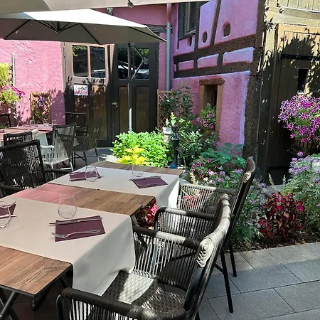 Hotel Le Meisenberg Chatenois (Bas-Rhin)