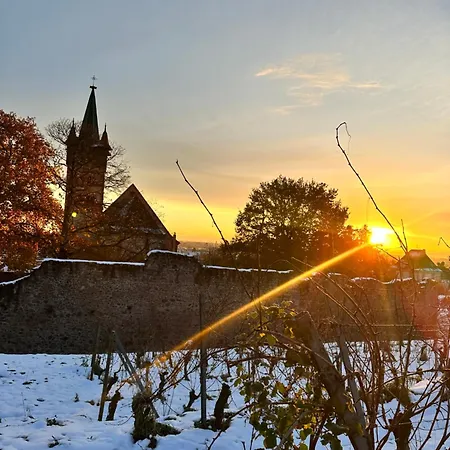 Hotel Le Meisenberg Chatenois (Bas-Rhin)