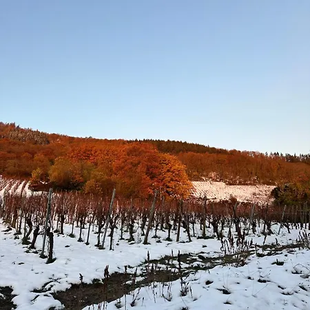 Le Meisenberg Chatenois (Bas-Rhin)
