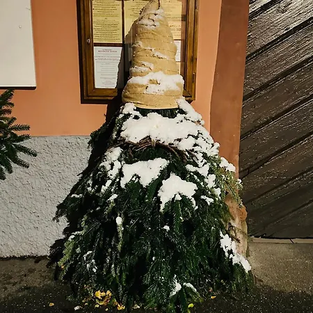 Hotell Le Meisenberg Châtenois