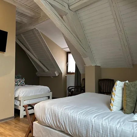 Le Meisenberg Hotel Chatenois (Bas-Rhin)