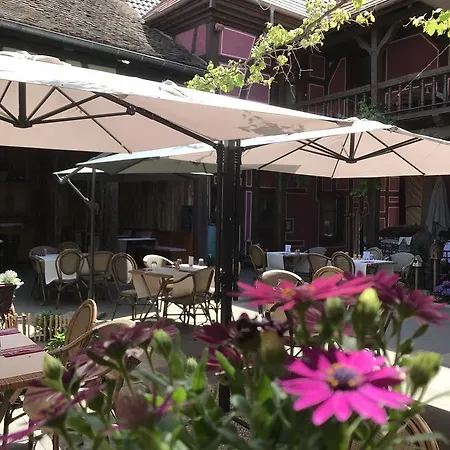 Le Meisenberg Hotell Châtenois