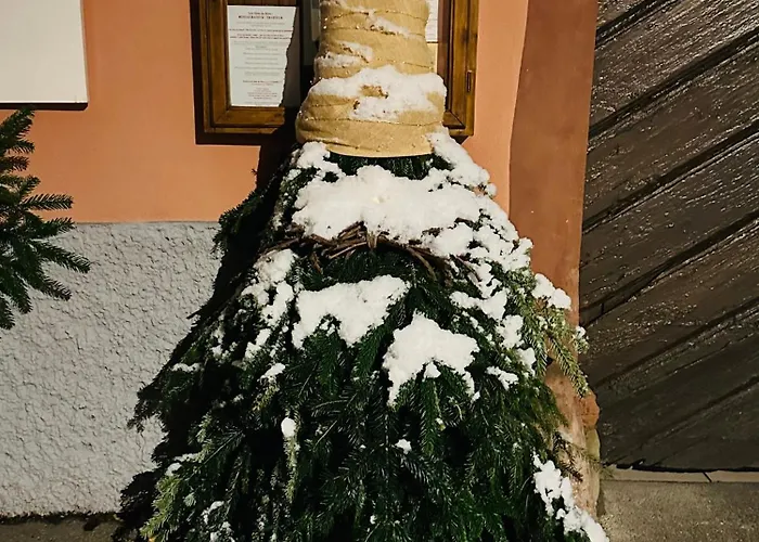 Hotel Le Meisenberg Châtenois