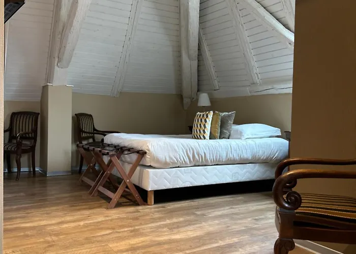 Hotel Le Meisenberg Châtenois