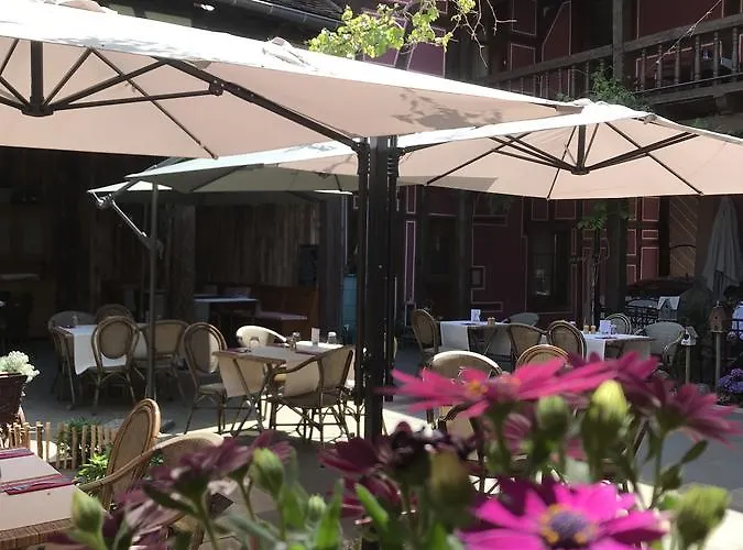 Le Meisenberg Hotel Châtenois